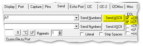 RealTerm Send message